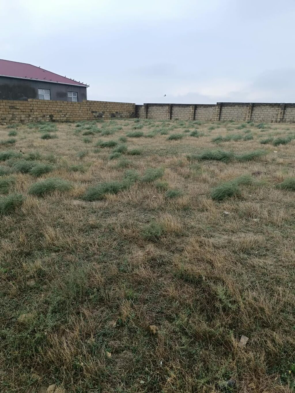 10 sot, Tikinti, Mülkiyyətçi, Kupça (Çıxarış)