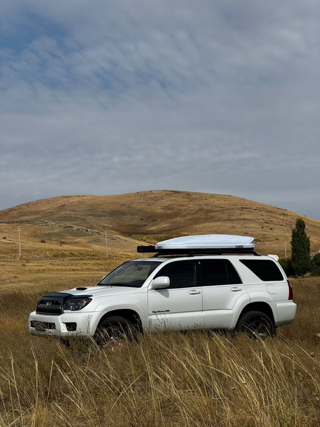 Toyota 4Runner: 2008 г., 4 л, Бензин, Внедорожник: фото 6