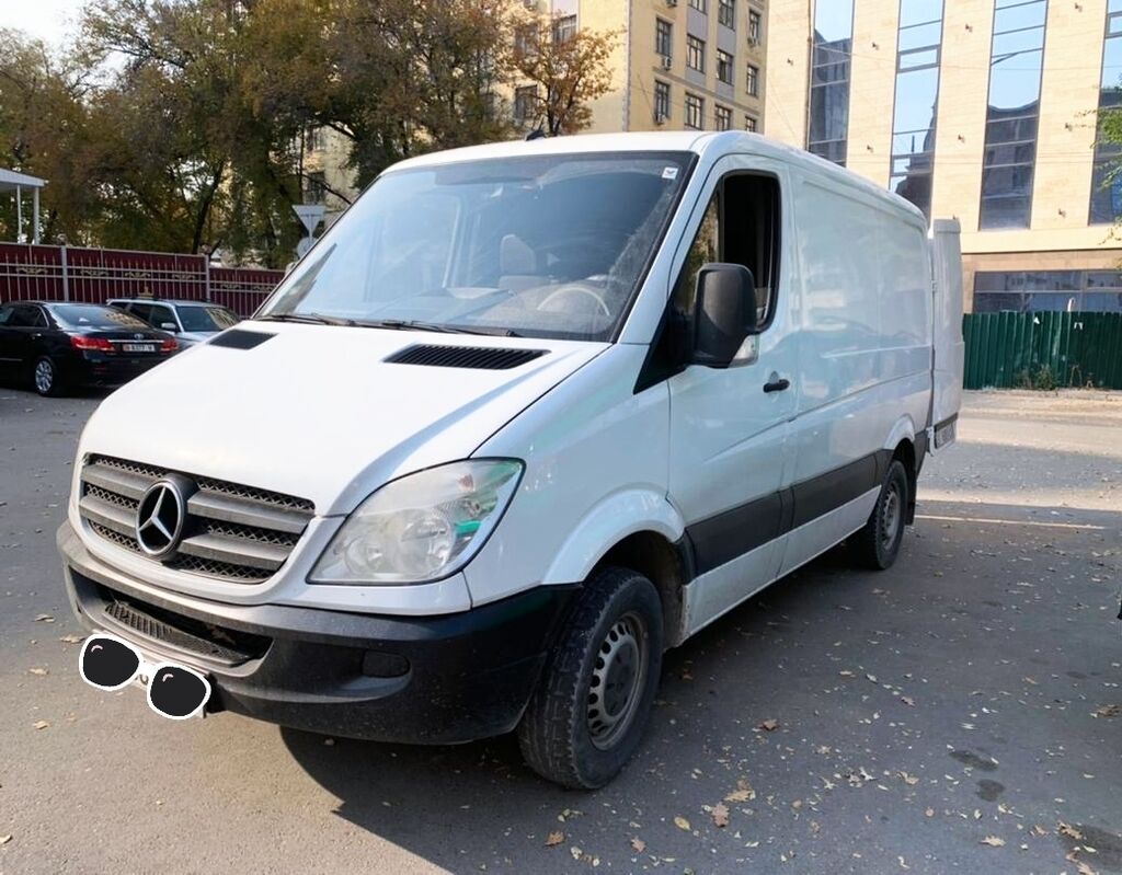 Спринтер рекс Mercedes Sprinter