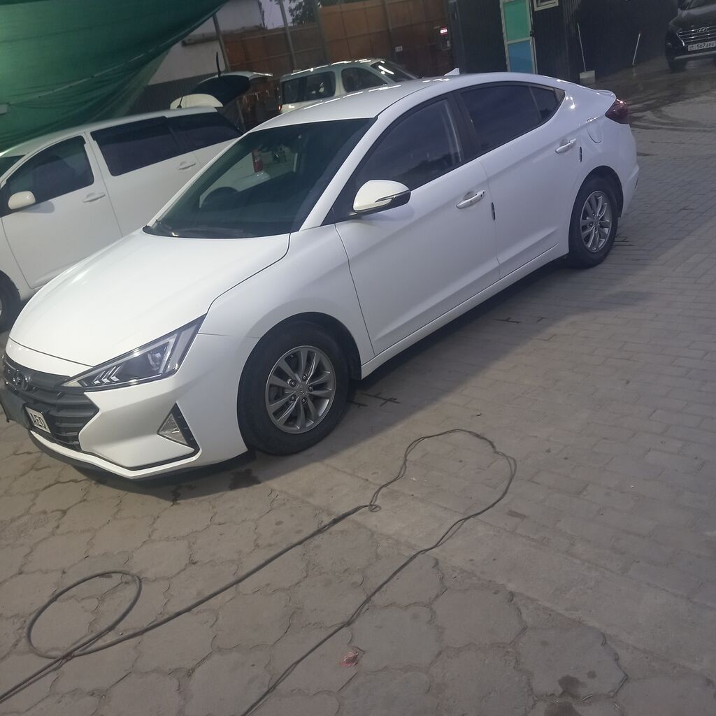 Hyundai Avante: 2019 г., 1.6 л, Автомат, Бензин, Седан: фото 1