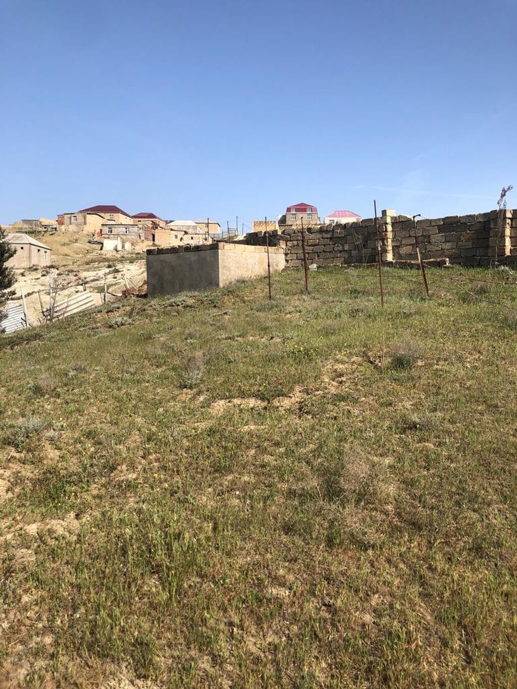 Tikinti