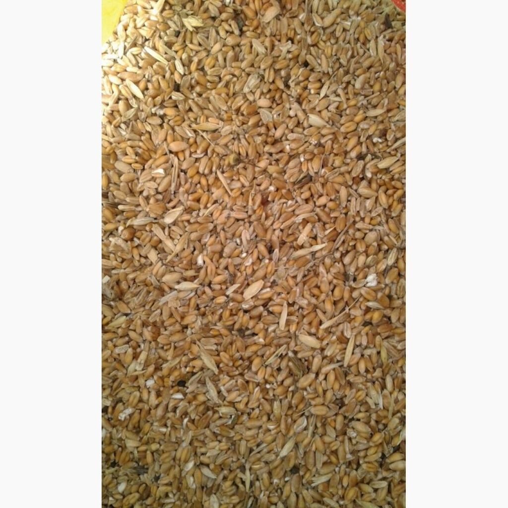 Кузя пшеница 250 гр.