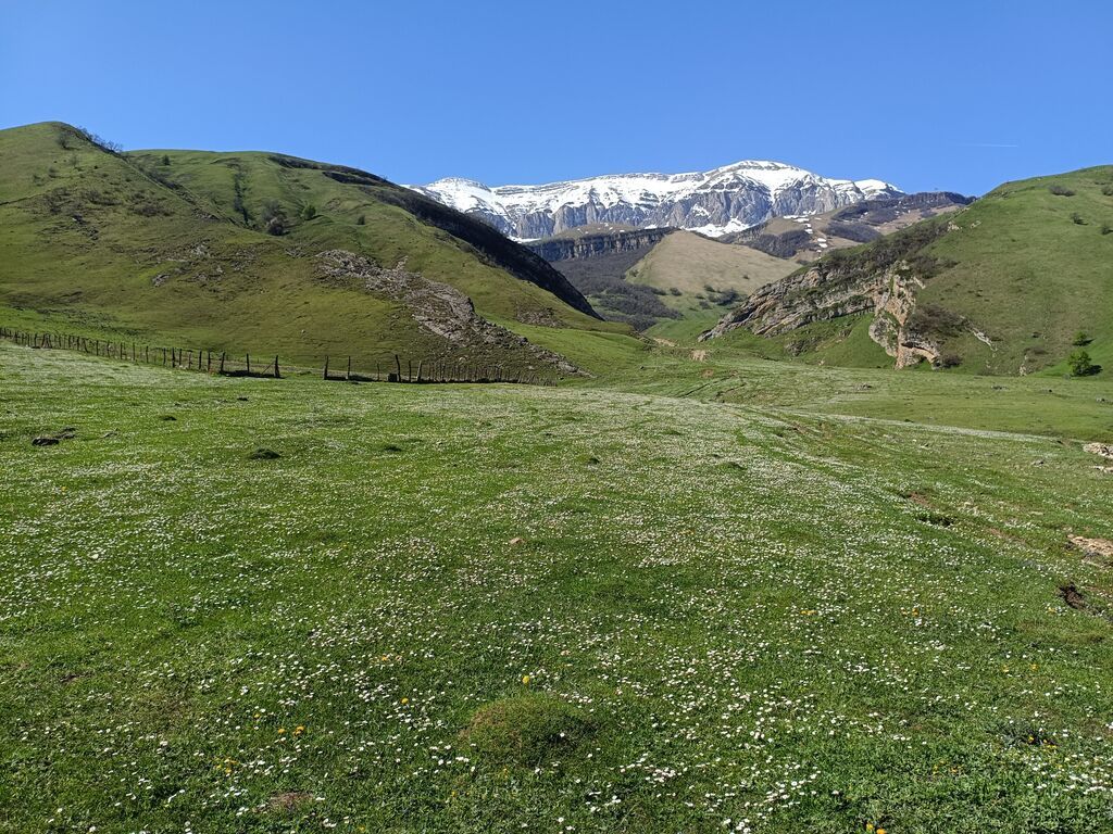 105 sot, Kənd təsərrüfatı, Mülkiyyətçi, Kupça (Çıxarış)