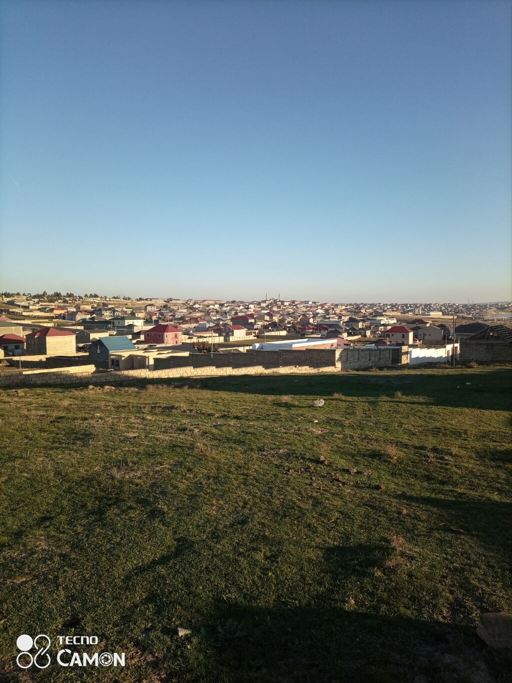Tikinti