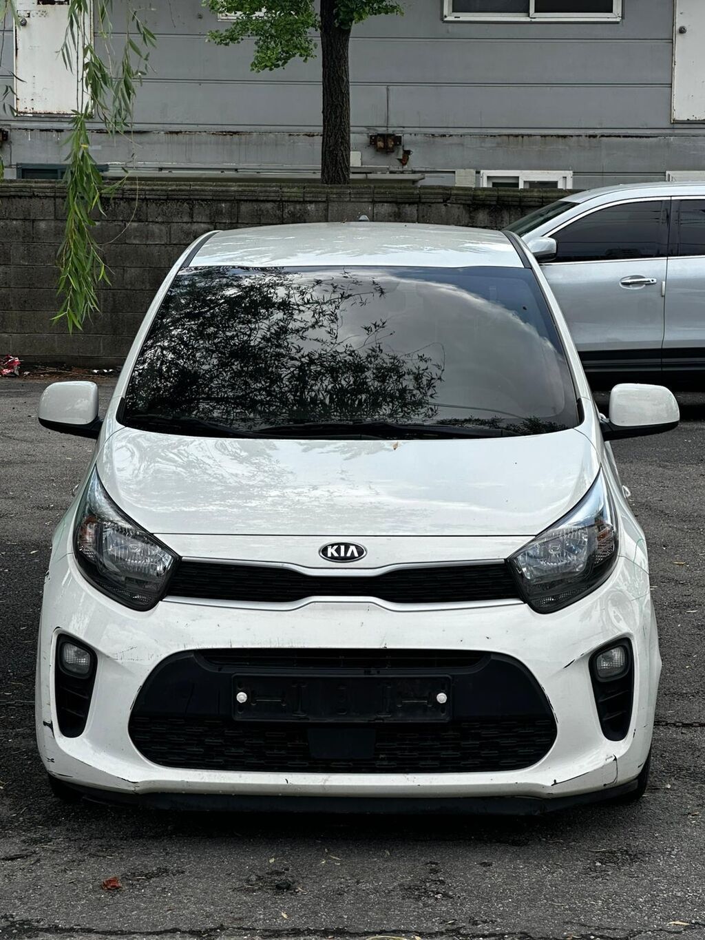 Kia Morning: 2026 г., Хэтчбэк: фото 4