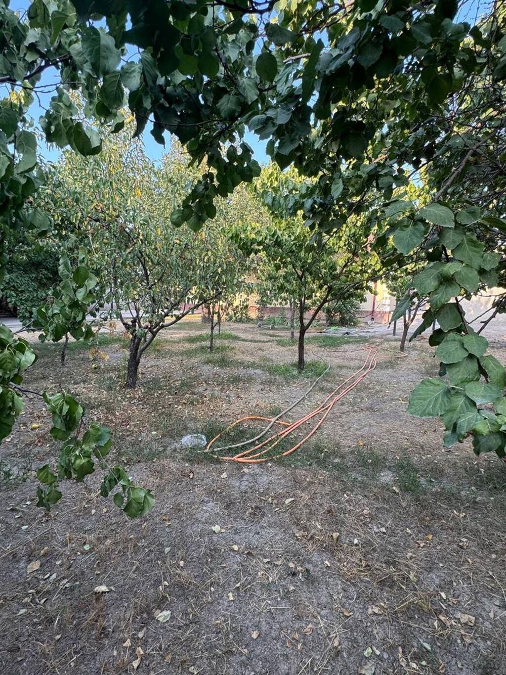 4 комнаты, 120 м², 8 соток, Бишкек, Арча-Бешик ж/м Собственник: фото 7