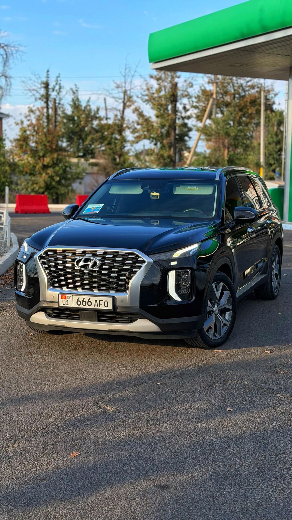 Hyundai Palisade: 2020 г., 2.2 л, Автомат, Дизель, Внедорожник: фото 5