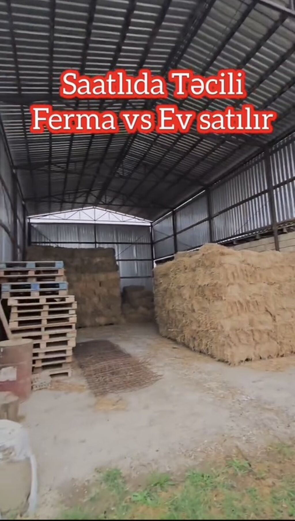 15 otaq, 1000 kv. m, Kredit yoxdur, Təmirsiz