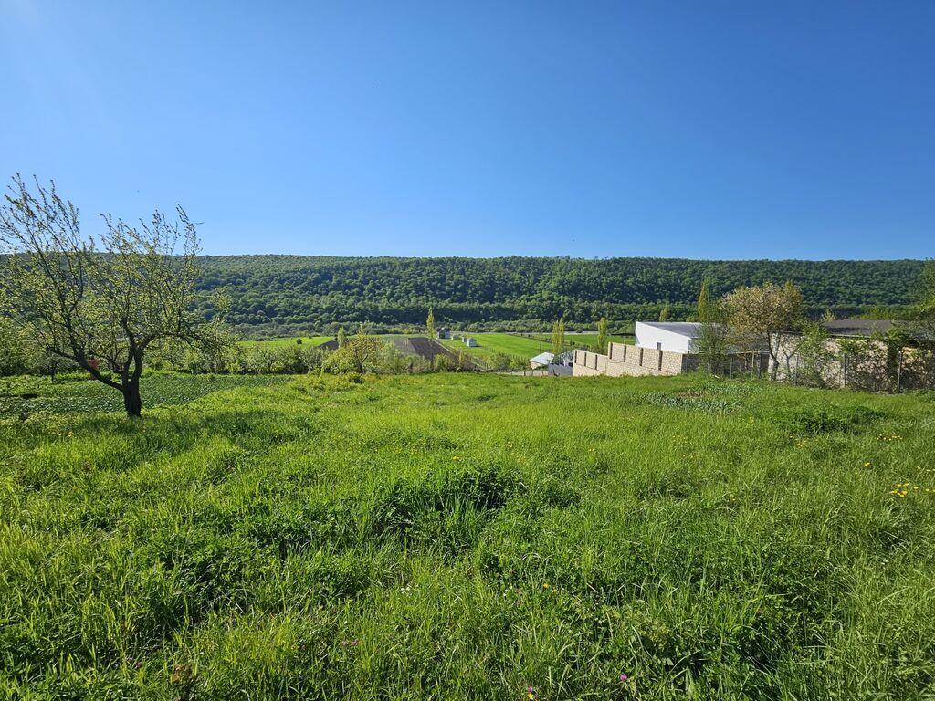 12 sot, Tikinti, Mülkiyyətçi, Kupça (Çıxarış)