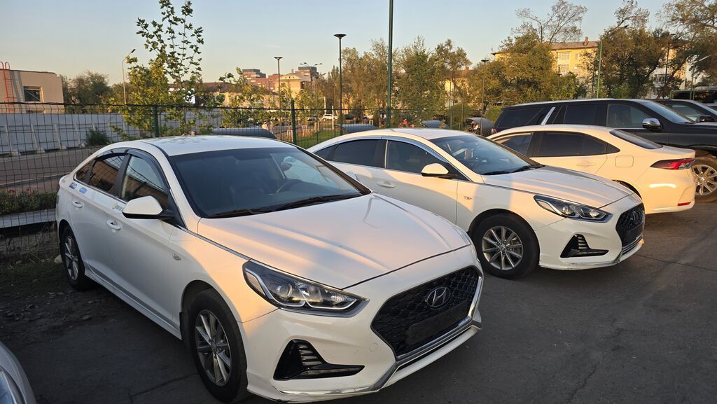 Hyundai Sonata: 2020 г., 2 л, Автомат, Газ, Седан: фото 4