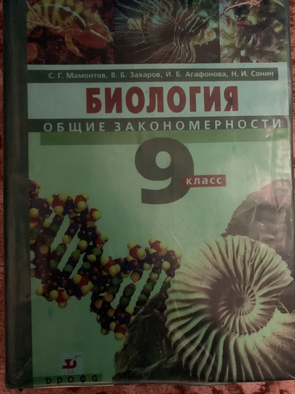 Страница 29. гдз математика 6 класс кыдыралиев: Кыргызстан ᐈ Книги,  журналы, CD, DVD ▷ 1251 объявлений ➤ lalafo.kg