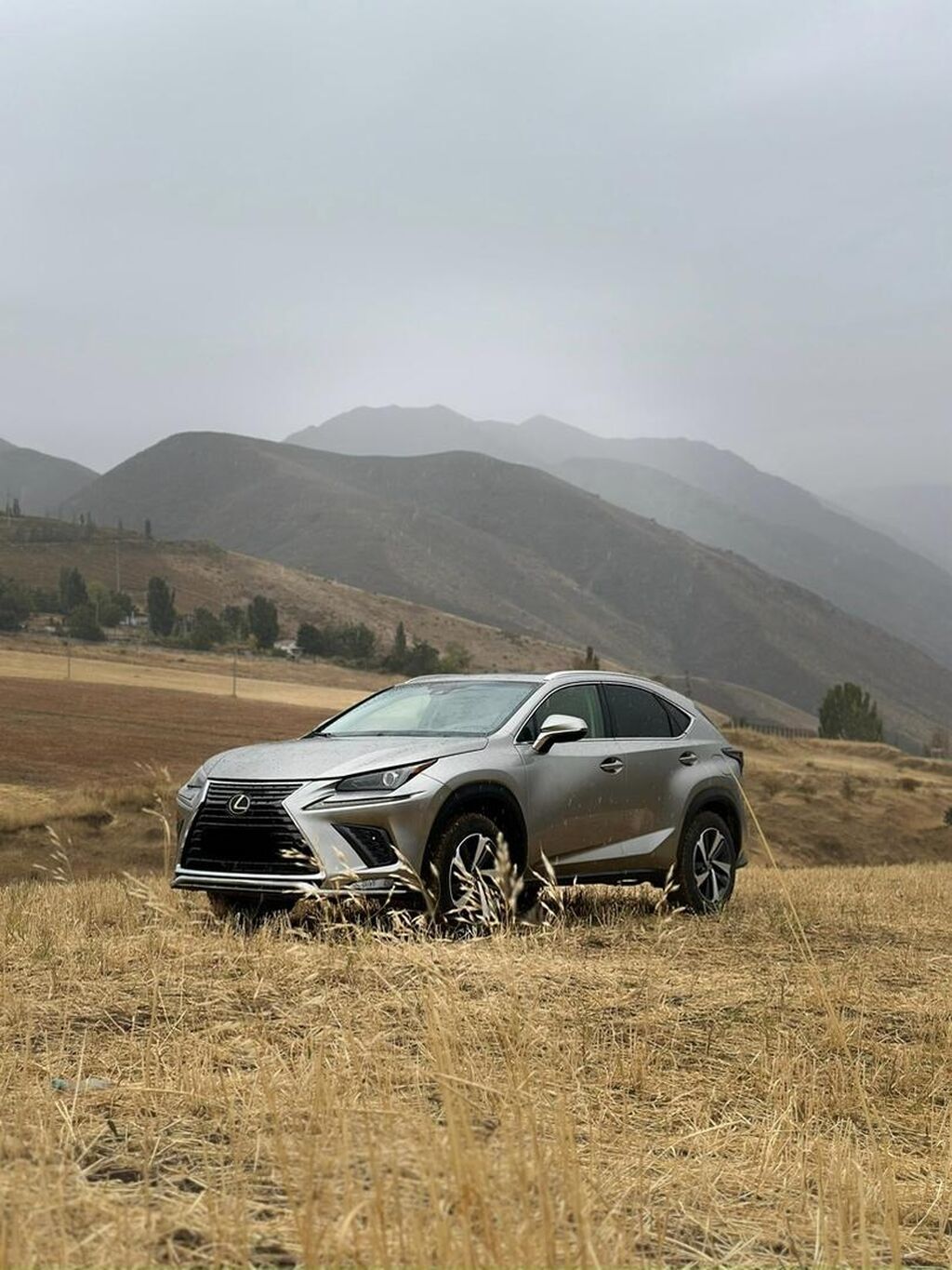 Lexus NX: 2019 г., 2 л, Автомат, Бензин, Кроссовер: фото 2