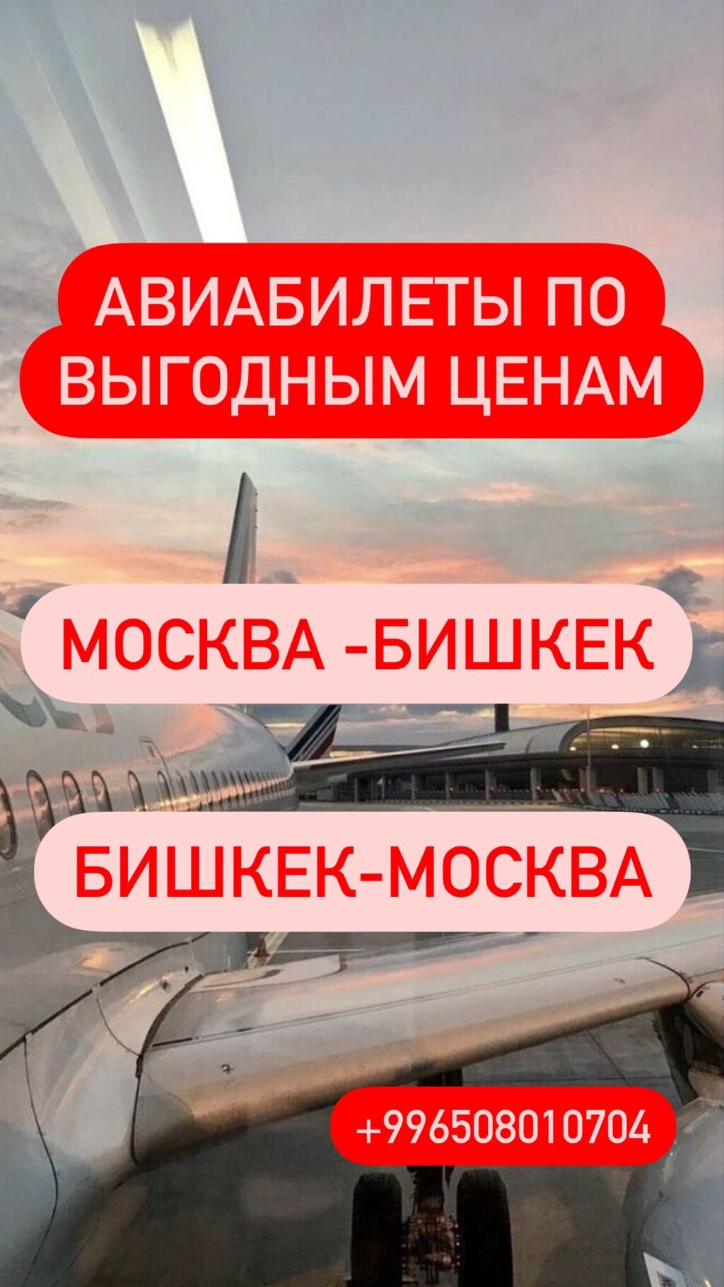 Авиабилеты по выгодным ценам. Покупай онлайн: Договорная ᐈ Туристические  услуги | Бишкек | 37438125 ➤ lalafo.kg