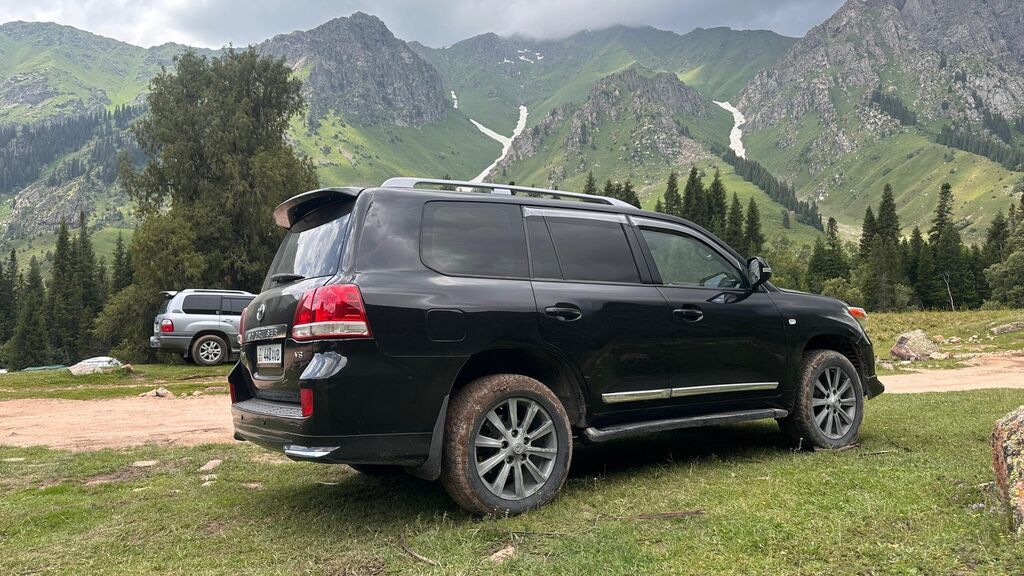 Toyota Land Cruiser: 2008 г., Внедорожник: фото 7