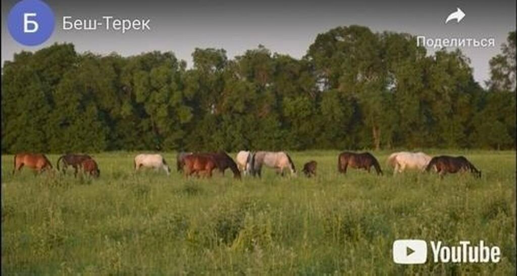 Продаю кирпичный дом. С. Беш-Терек Московский район. Трехкомнатный