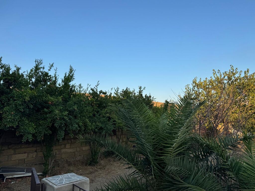 8 sot, Tikinti, Mülkiyyətçi, Kupça (Çıxarış)