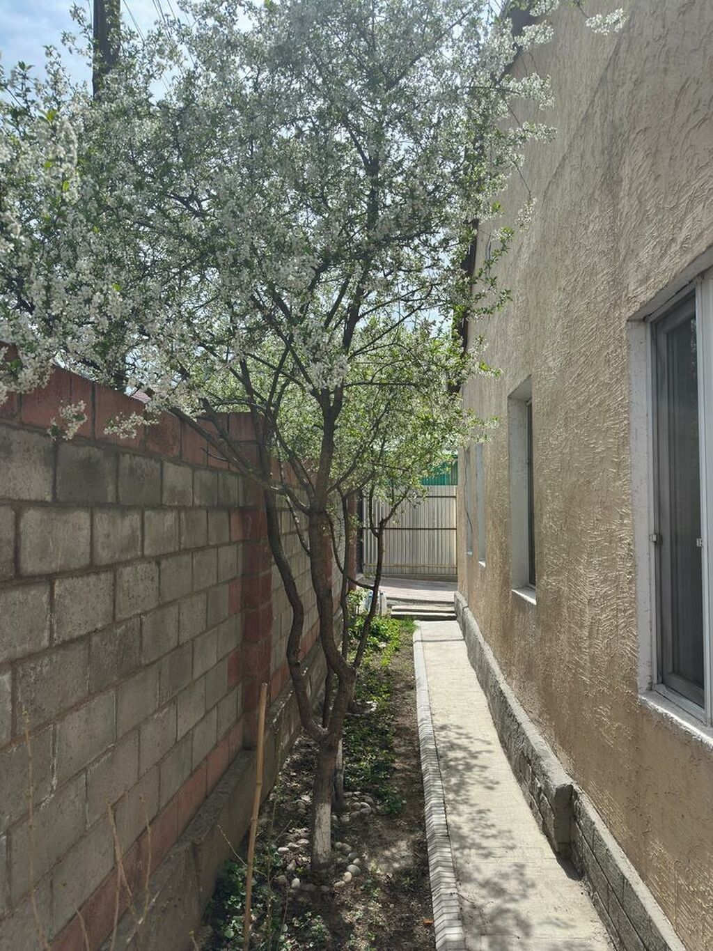 5 комнат, 150 м², 5 соток, Бишкек, Физприборы Собственник: фото 6