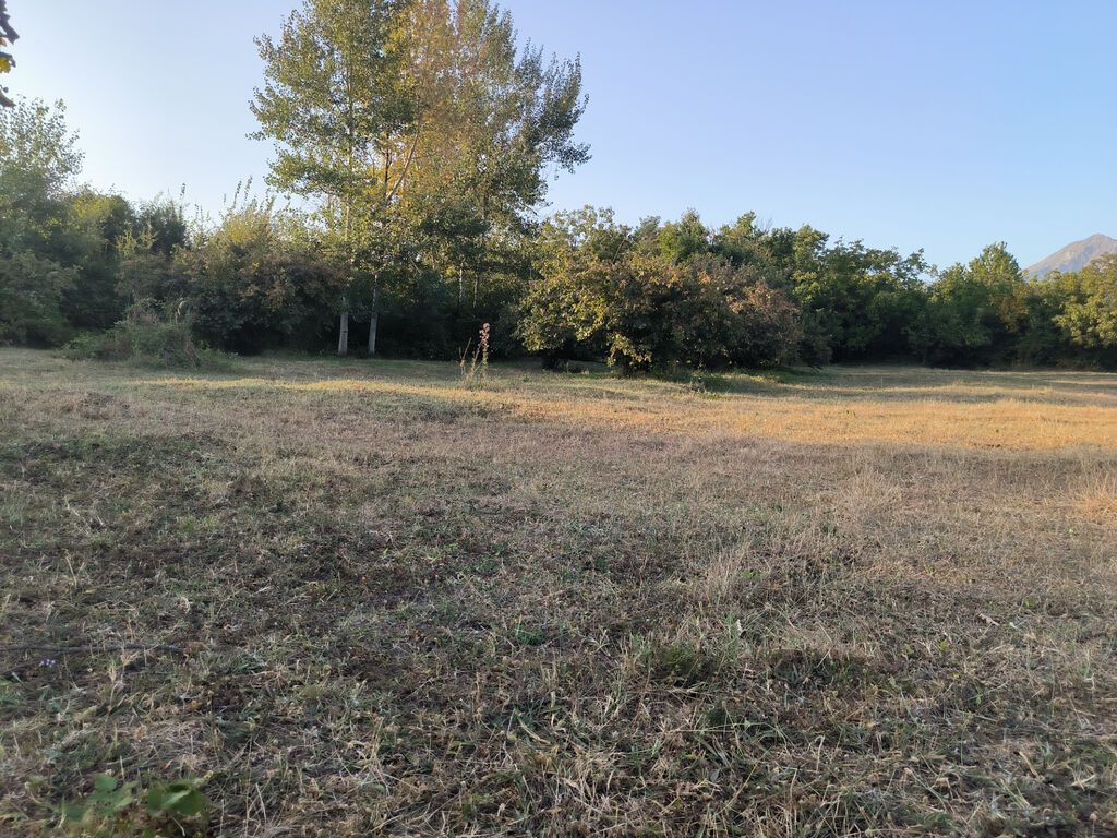21 sot, Tikinti, Mülkiyyətçi, Kupça (Çıxarış)