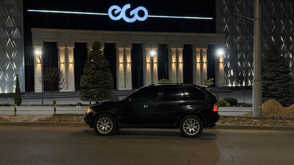 BMW X5: 2002 г., 3 л, Автомат, Дизель, Кроссовер: фото 2