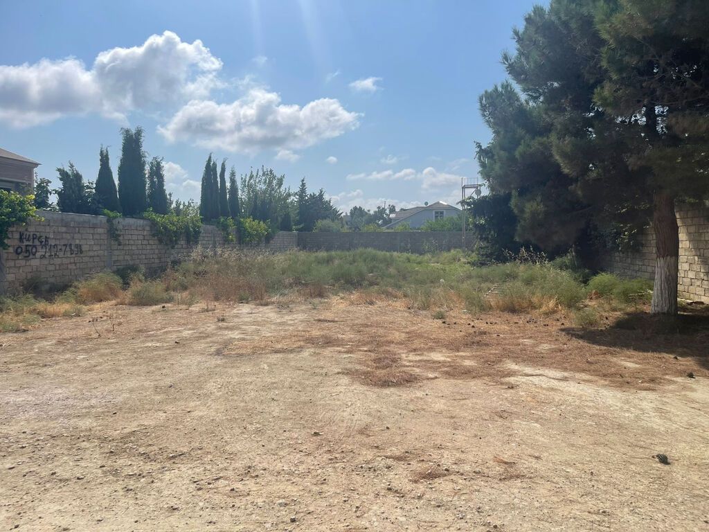 8 sot, Tikinti, Mülkiyyətçi, Kupça (Çıxarış)