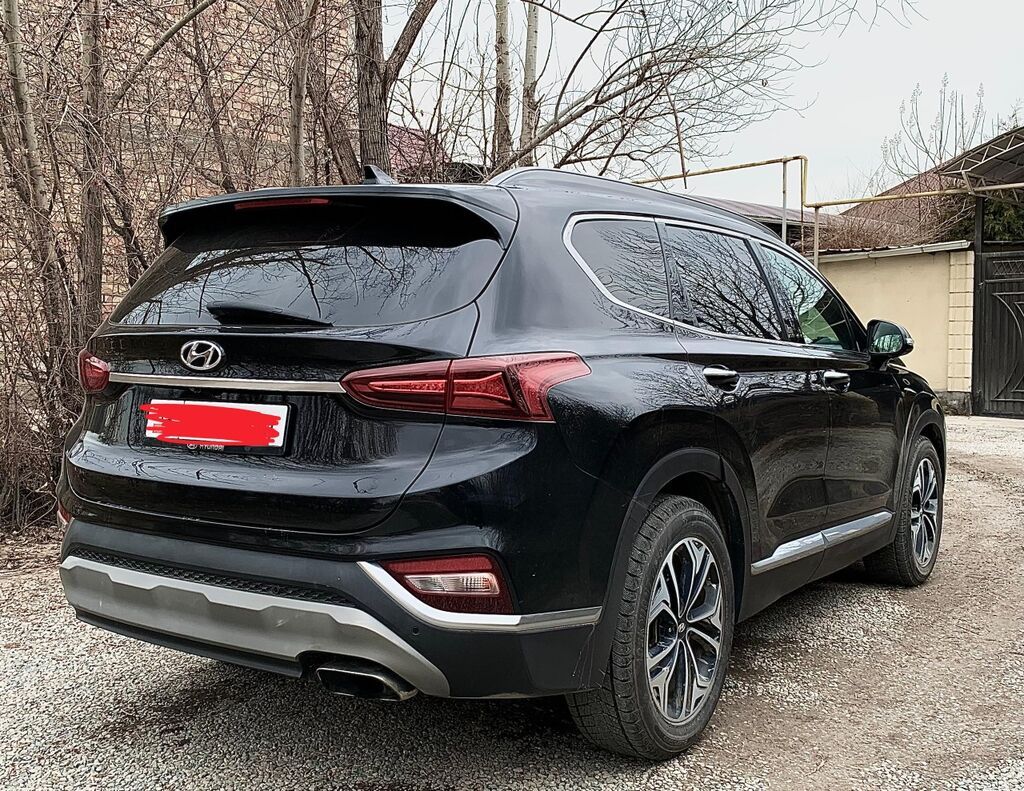 Hyundai Santa Fe: 2019 г., 2 л, Автомат, Бензин, Внедорожник: фото 6