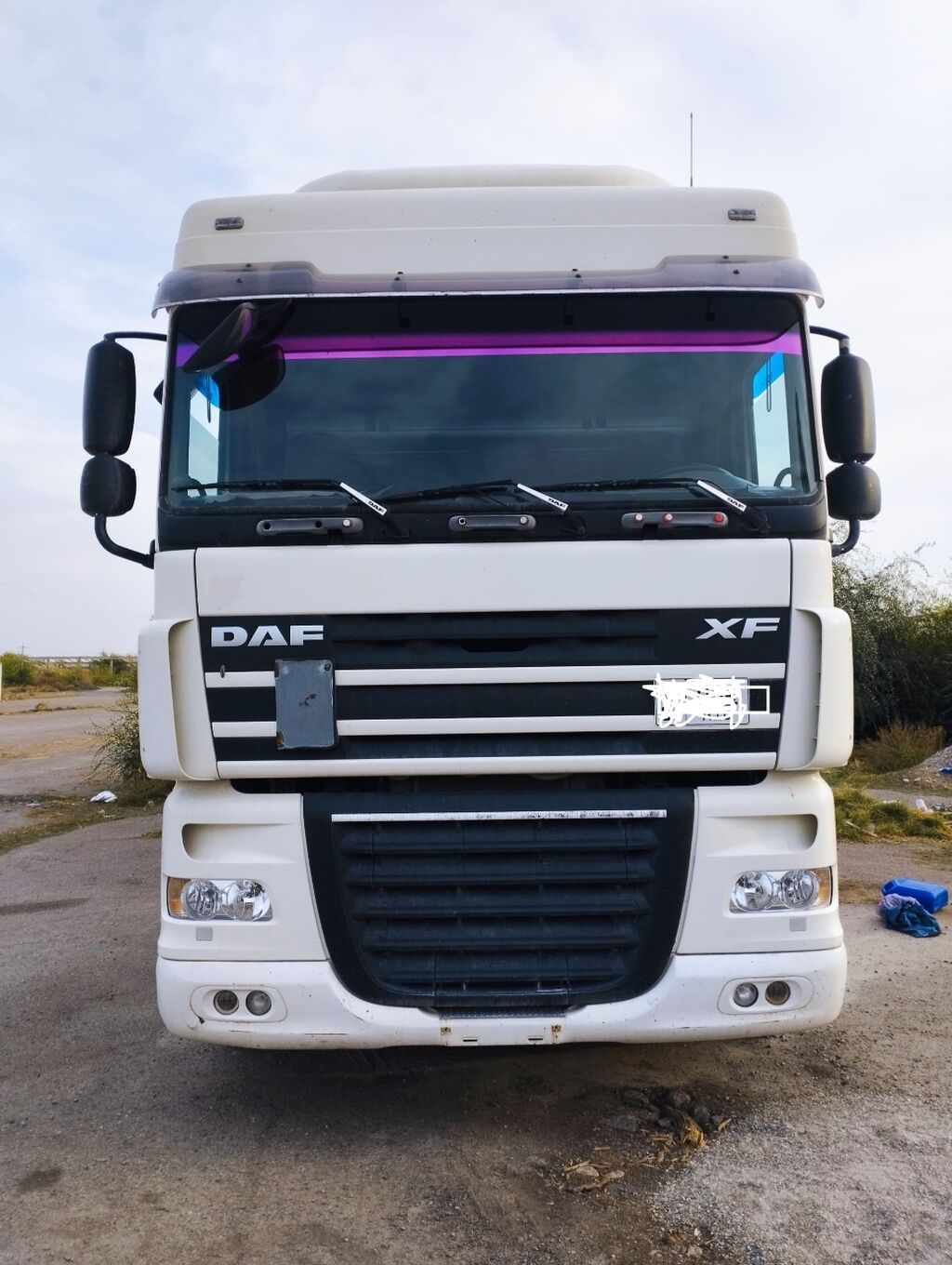 Тягач, DAF, 2007 г., Самосвал: фото 1