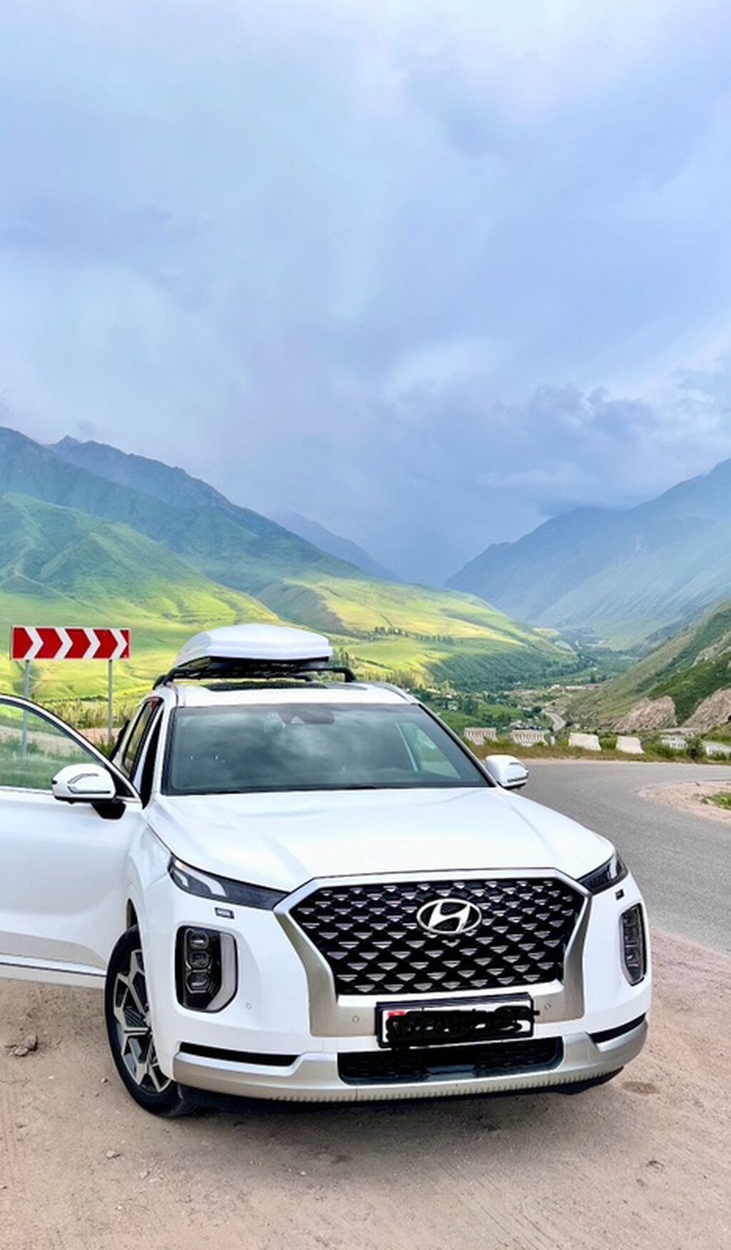 Hyundai Palisade: 2022 г., 2.2 л, Автомат, Дизель, Кроссовер: фото 4