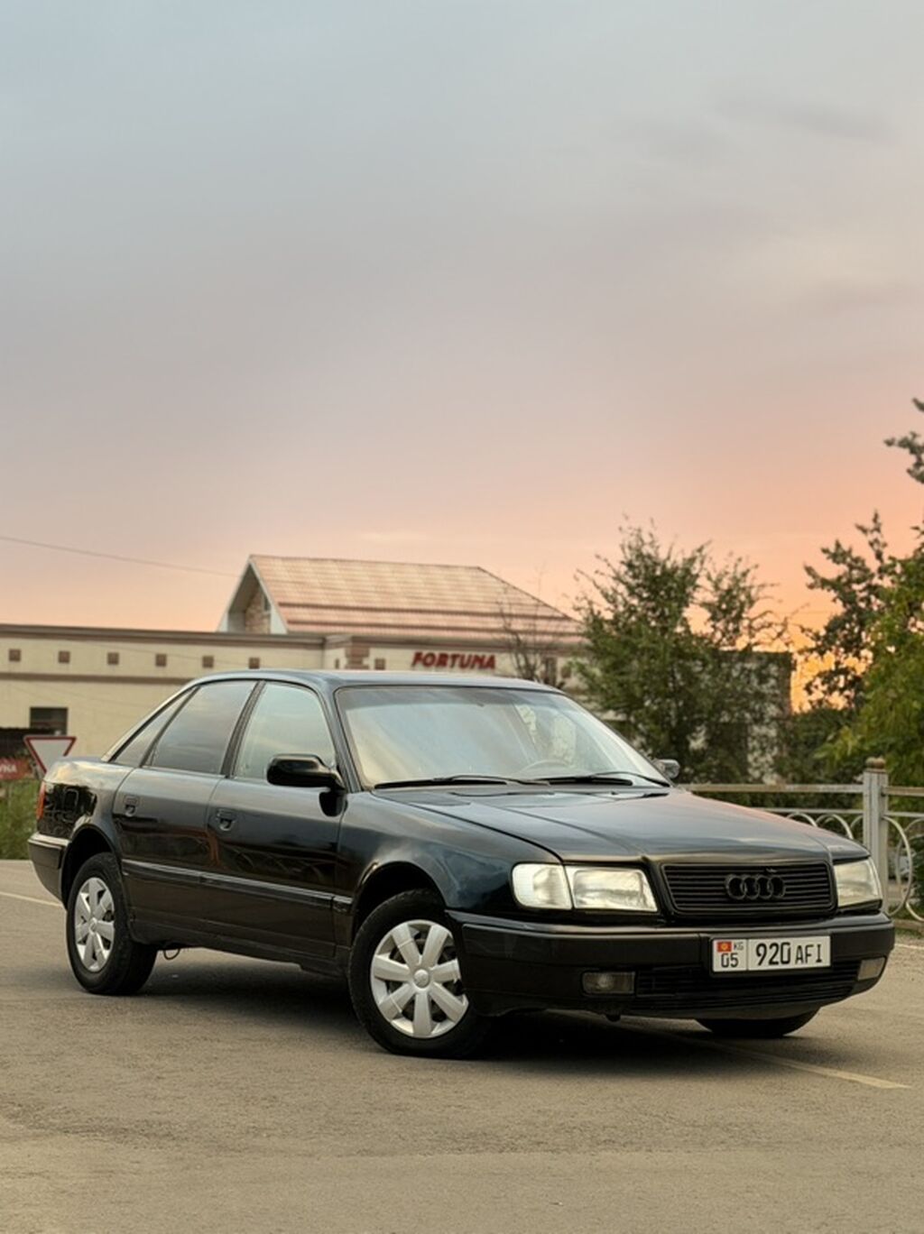 Audi 100: 1993 г., 2.6 л, Механика, Бензин, Седан: фото 2