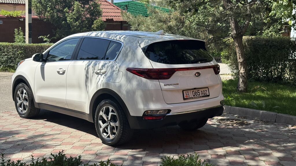 Kia Sportage: 2020 г., 2.4 л, Автомат, Бензин — фото 4
