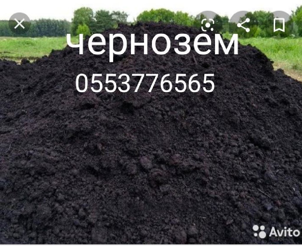 Чем отличается чернозем от плодородной земли. Чернозем бишкек.