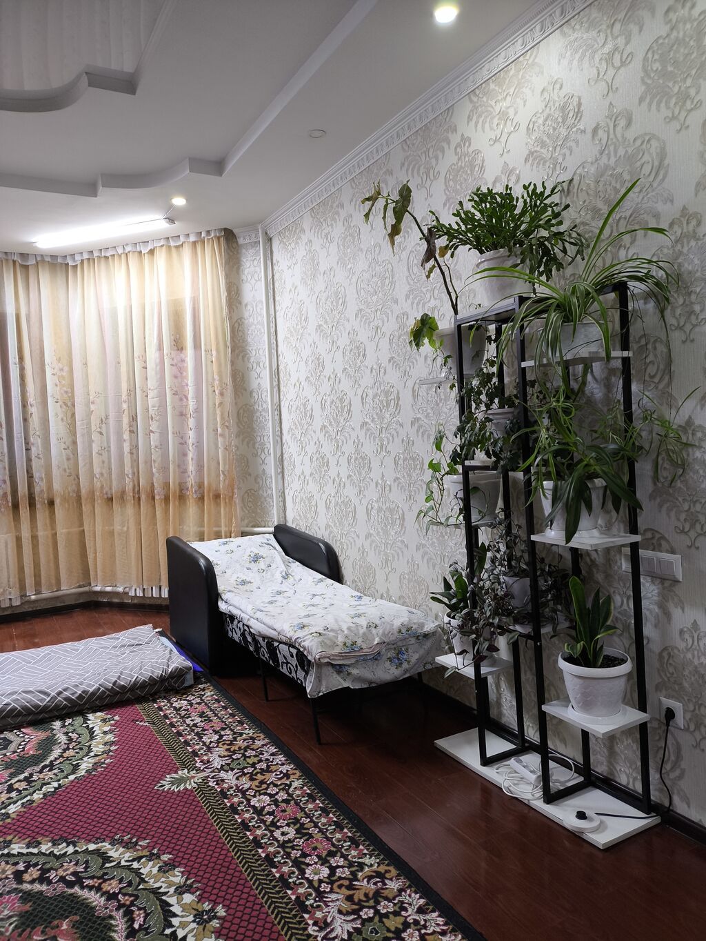 25 м², С мебелью: фото 5