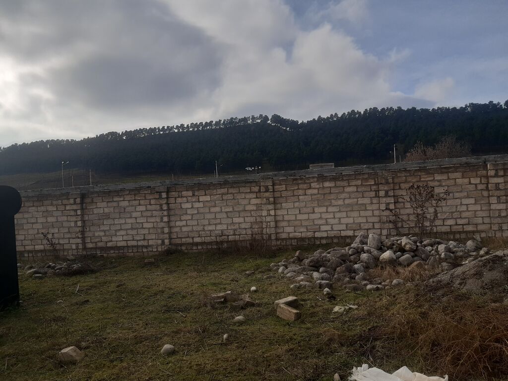 10 sot, Tikinti