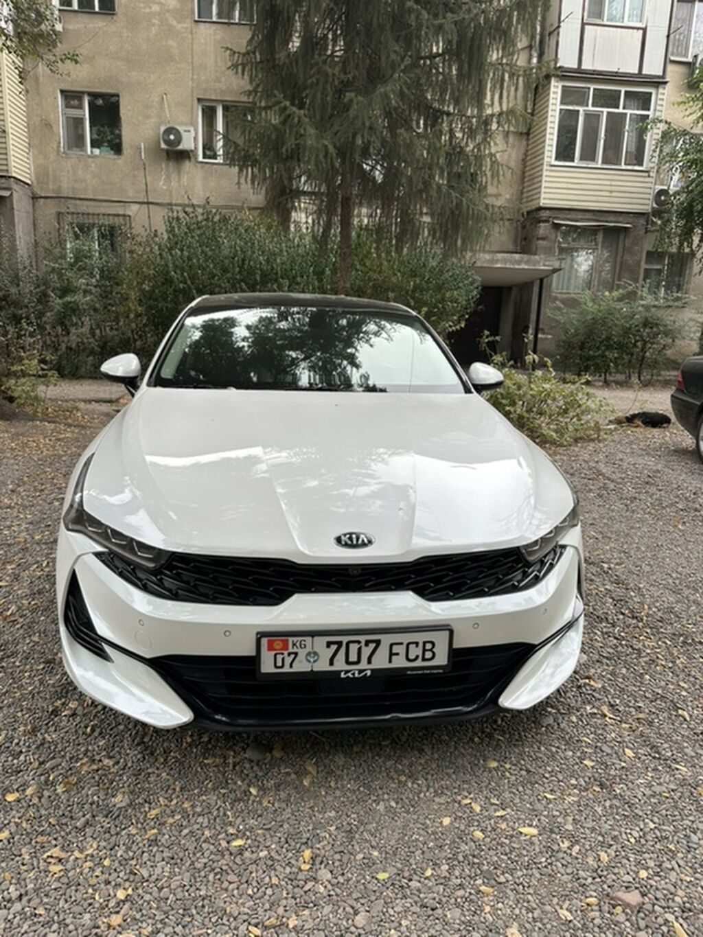 Kia K5: 2019 г., 1.6 л, Автомат, Бензин, Седан: фото 3