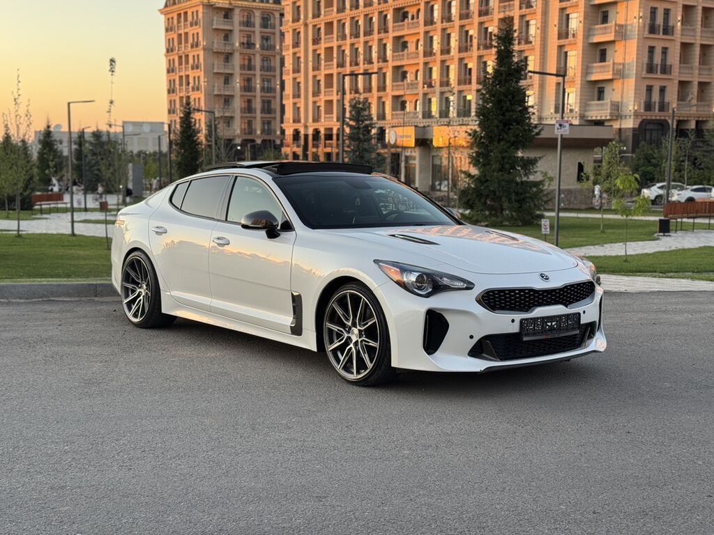 Kia Stinger: 2019 г., 2 л, Автомат, Бензин, Фастбек: фото 2