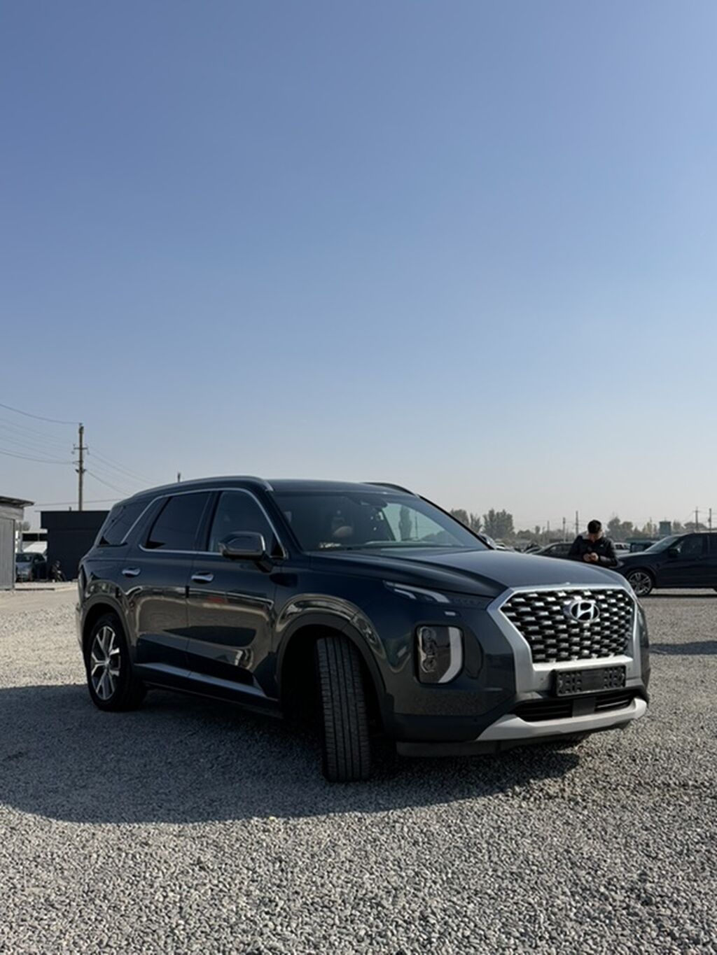 Hyundai Palisade: 2020 г., 2.2 л, Автомат, Дизель, Кроссовер: фото 6