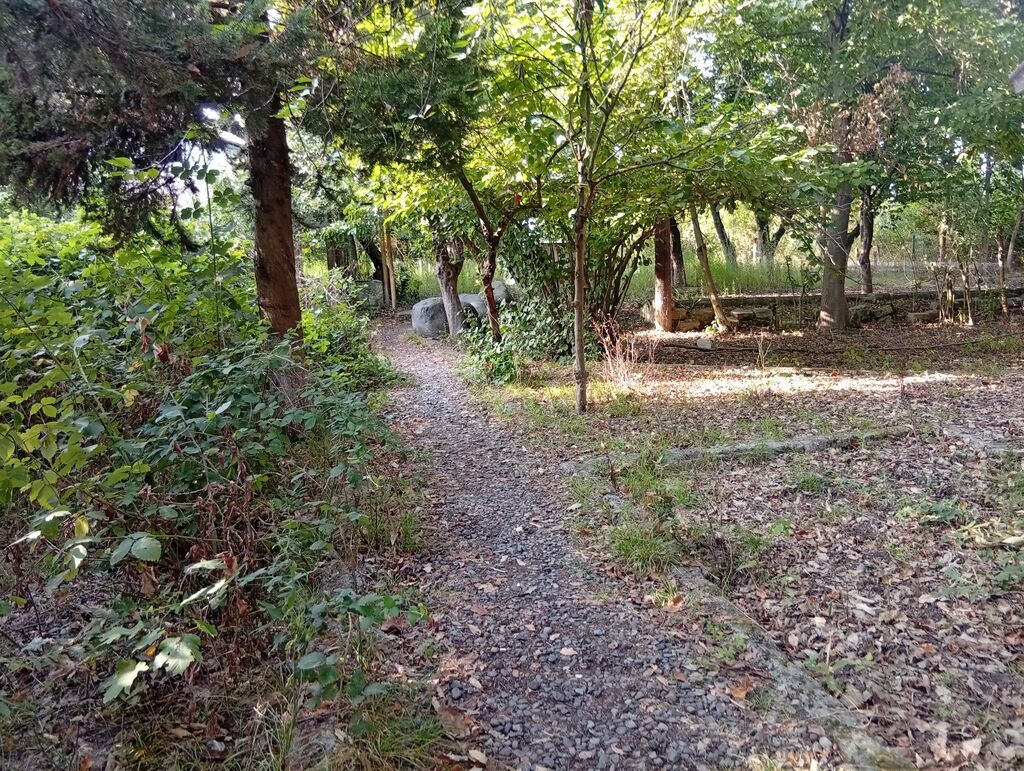 67 sot, Tikinti, Mülkiyyətçi, Kupça (Çıxarış)
