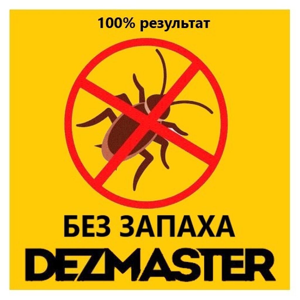 Осоо «dezmaster» уничтожение клопов, (хлоп), тараканов: Договорная ᐈ  Дезинфекция, дезинсекция | Бишкек | 91334268 ➤ lalafo.kg