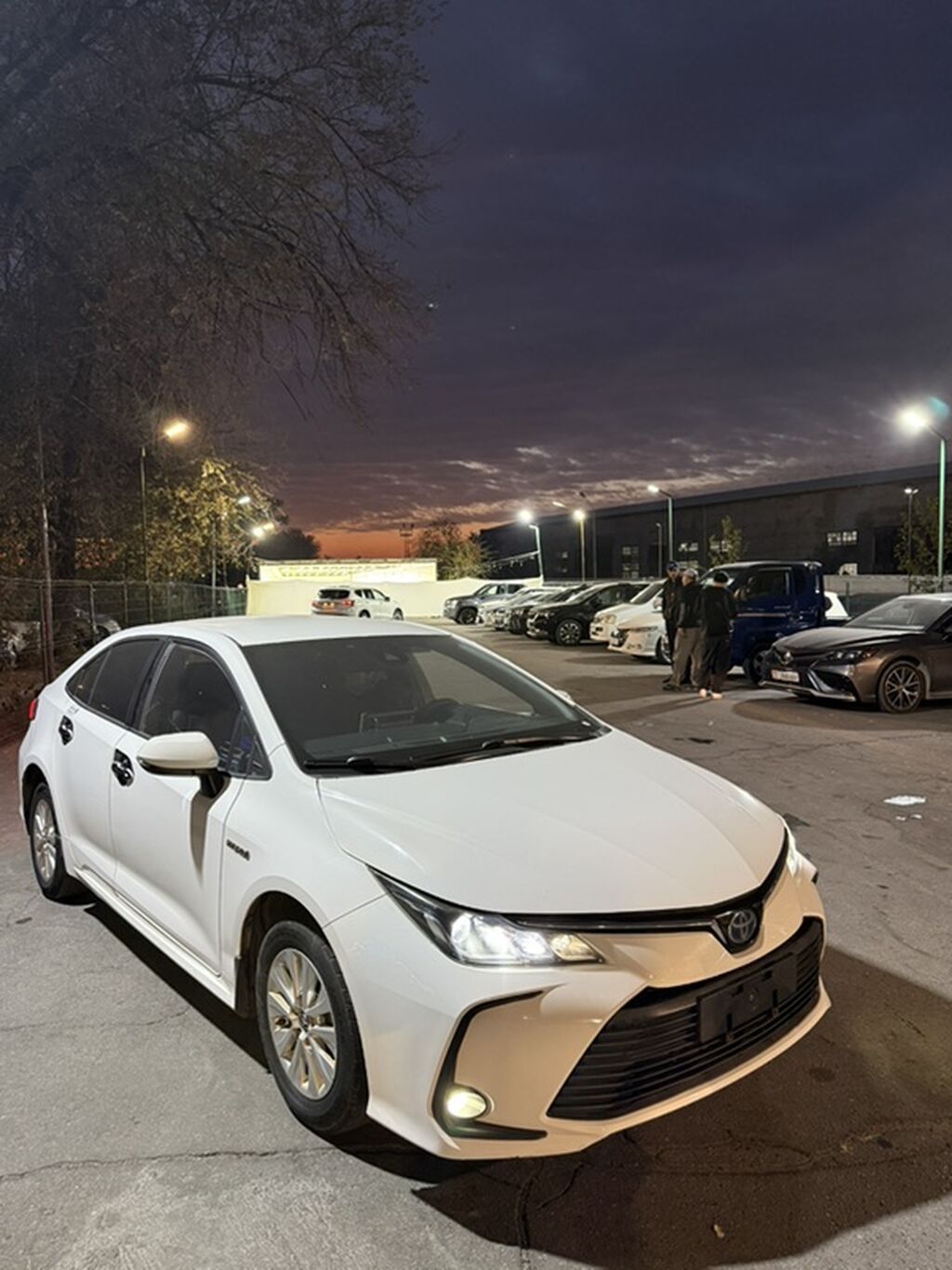 Toyota Corolla: 2019 г., 1.8 л, Вариатор, Гибрид, Седан: фото 1