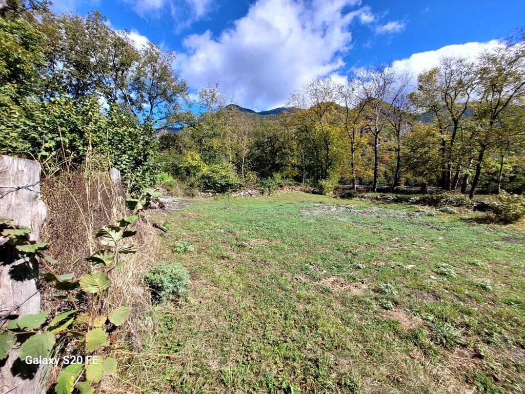 6 sot, Tikinti, Mülkiyyətçi, Kupça (Çıxarış)