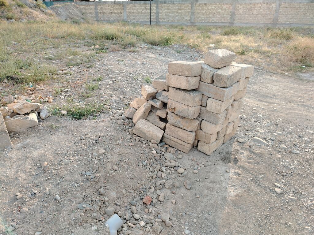 Tikinti