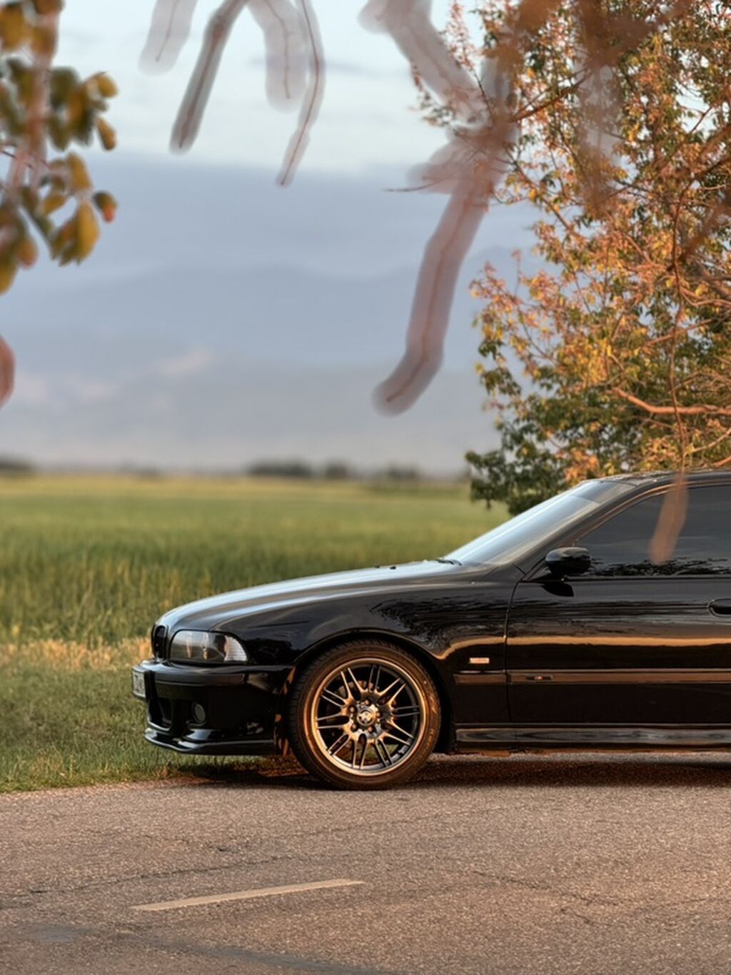 BMW 530: 2002 г., 3 л, Автомат, Бензин, Седан: фото 8