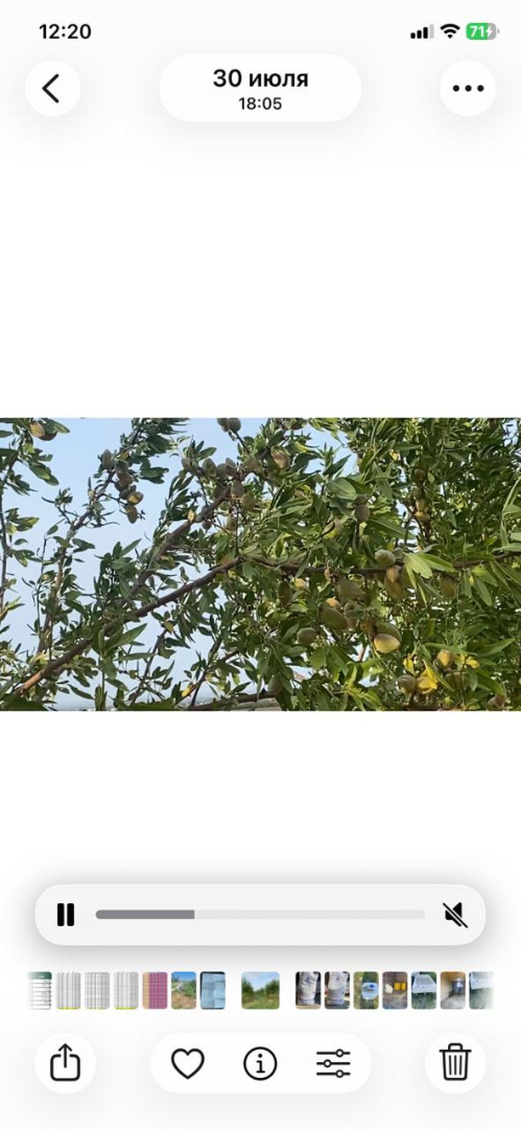 412 sot, Kənd təsərrüfatı, Mülkiyyətçi, Kupça (Çıxarış)