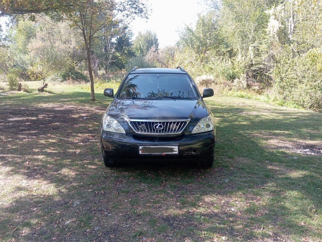 Lexus RX: 2007 г., Кроссовер: фото 3