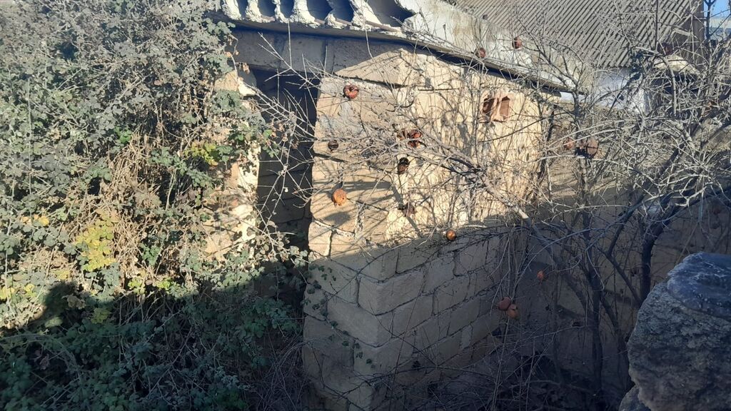 Tikinti, Mülkiyyətçi