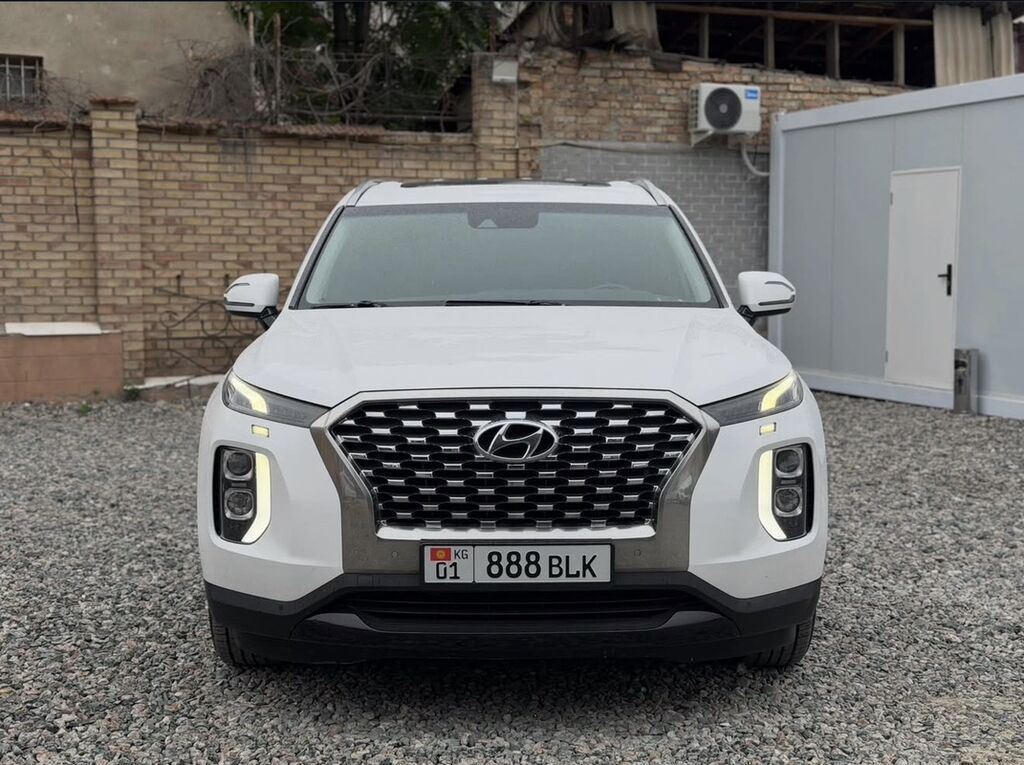 Hyundai Palisade: 2019 г., 2.2 л, Автомат, Дизель, Кроссовер: фото 1