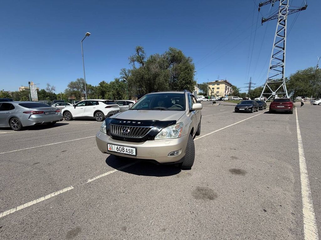 Lexus RX: 2008 г., 3.5 л, Автомат, Бензин, Кроссовер: фото 1