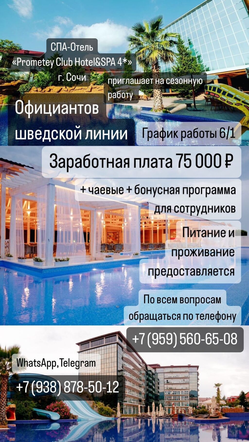 Город Сочи Спа-отель (promotey club 4*): 75000 KGS ᐈ Официанты | Бишкек |  35726371 ➤ lalafo.kg