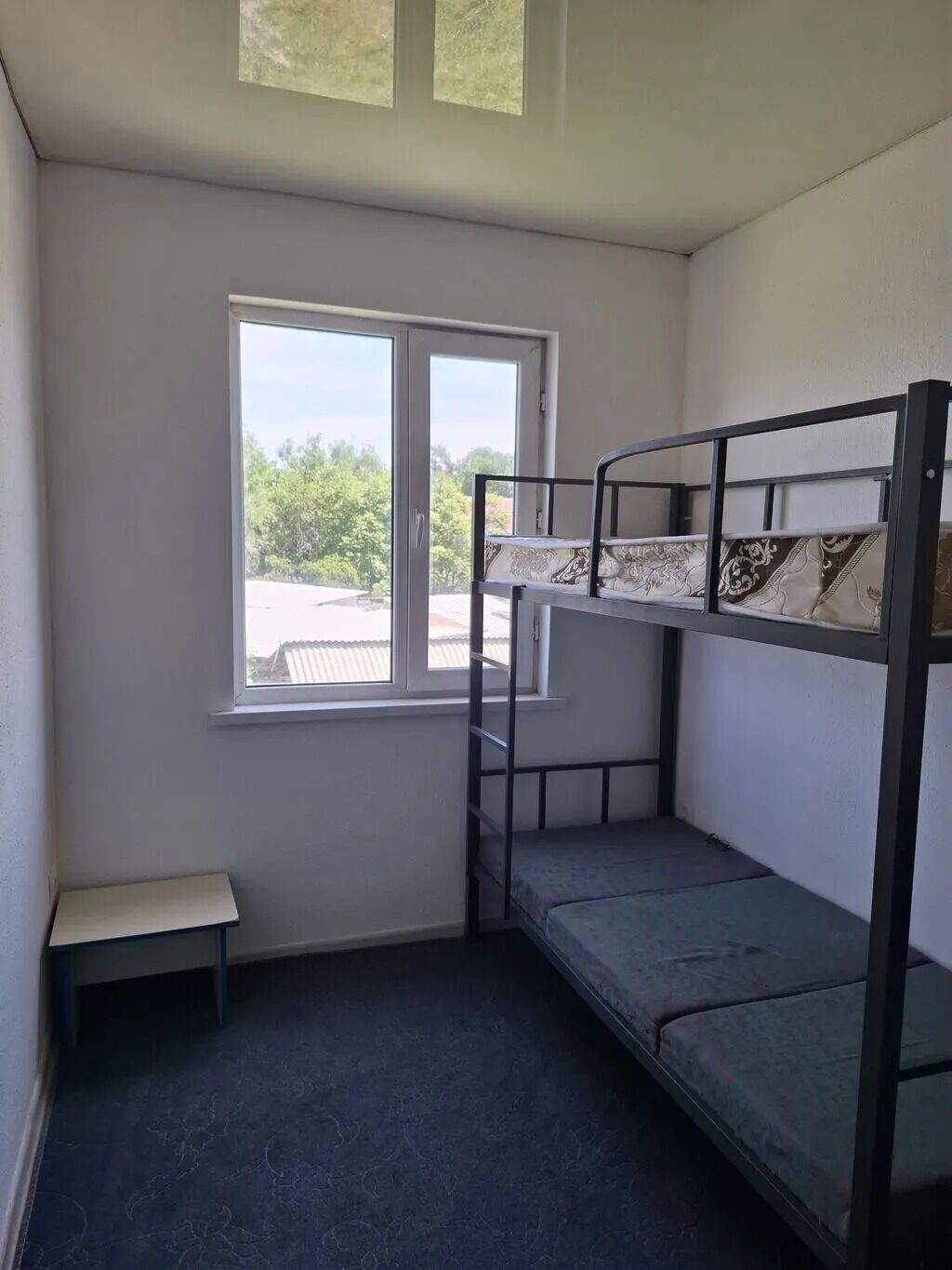 20 м², 1 комната, Западный (новый) автовокзал, Без животных: фото 4