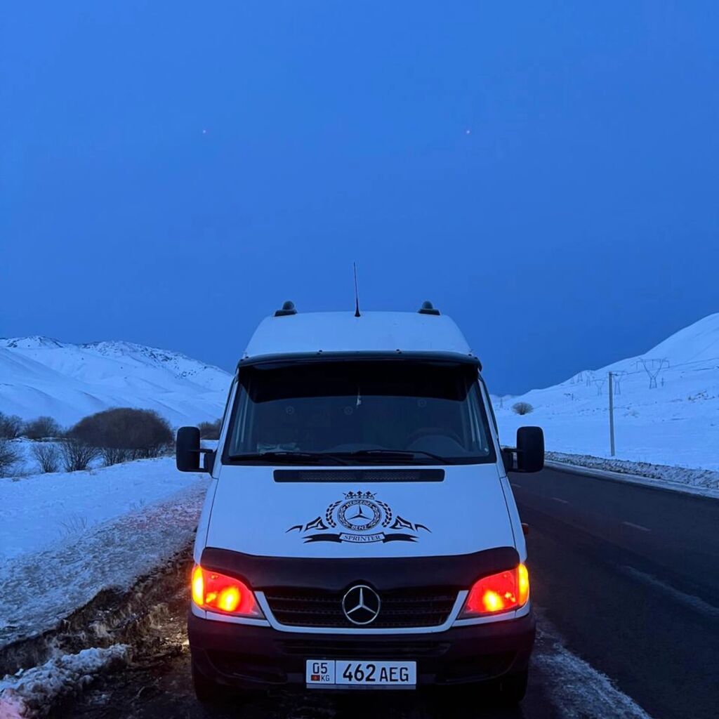 Легкий грузовик, Mercedes-Benz, Стандарт, 3 т, Б/у: фото 6