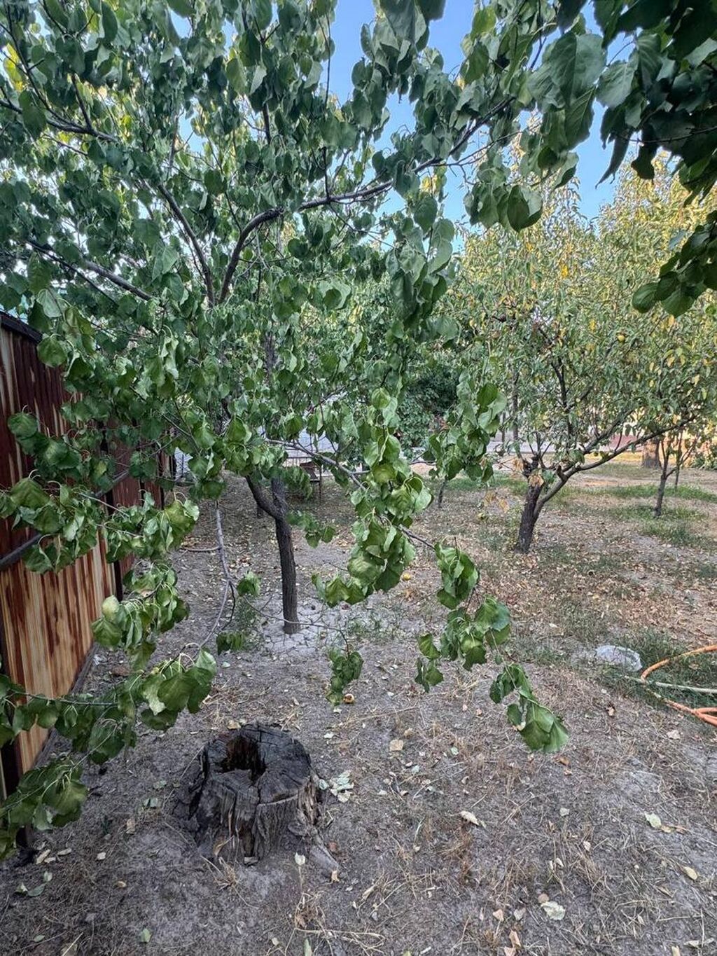 4 комнаты, 120 м², 8 соток, Бишкек, Арча-Бешик ж/м Собственник: фото 8